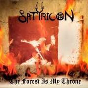 Der musikalische text THE NIGHT OF THE TRIUMPHATOR von SATYRICON ist auch in dem Album vorhanden The forest is my throne (split w/enslaved) (1995)
