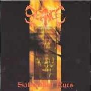 Der musikalische text SOULEROSION von SEANCE ist auch in dem Album vorhanden Saltrubbed eyes (1993)