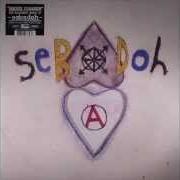 Der musikalische text SEPARATE von SEBADOH ist auch in dem Album vorhanden Defend yourself (2013)