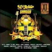 Der musikalische text TROUBLE UNDER YOUR ROOF von SHAGGY ist auch in dem Album vorhanden Out of many, one music (2013)