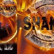 Der musikalische text HOW IT FEELS von SHAKRA ist auch in dem Album vorhanden Fall (2005)