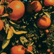 Dyed in the wool Dyed in the wool