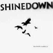 Der musikalische text CYANIDE SWEET TOOTH SUICIDE von SHINEDOWN ist auch in dem Album vorhanden The sound of madness