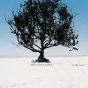 Der musikalische text DON'T CRY OUT von SHINY TOY GUNS ist auch in dem Album vorhanden We are pilots (2006)