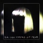 Der musikalische text HOSTAGE von SIA ist auch in dem Album vorhanden Hostage (2012)