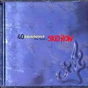 Der musikalische text YOUTH GONE WILD von SKID ROW ist auch in dem Album vorhanden 40 seasons (1998)
