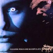 Der musikalische text SECOND TOOTH von SKINNY PUPPY ist auch in dem Album vorhanden Cleanse fold & manipulate (1987)