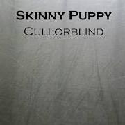 Der musikalische text NOISEX von SKINNY PUPPY ist auch in dem Album vorhanden Handover (2011)