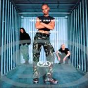 Der musikalische text INTELLECTUALISE MY BLACKNESS von SKUNK ANANSIE ist auch in dem Album vorhanden Paranoid & sunburnt (1995)