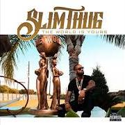 Der musikalische text NEXT LEVEL von SLIM THUG ist auch in dem Album vorhanden The world is yours (2017)