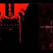 Der musikalische text THOSE WITH NO EYES von ANTAEUS ist auch in dem Album vorhanden Cut your flesh and worship satan (2000)