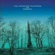 Der musikalische text PINWHEELS von SMASHING PUMPKINS ist auch in dem Album vorhanden Oceania (2012)