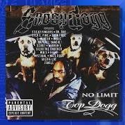 Der musikalische text JUST DIPPIN' von SNOOP DOGG ist auch in dem Album vorhanden No limit top dogg (1999)