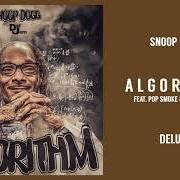Der musikalische text WHATEVER YOU ON von SNOOP DOGG ist auch in dem Album vorhanden Algorithm (2021)