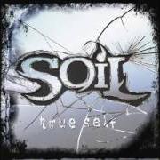 Der musikalische text BROKEN WINGS von SOIL ist auch in dem Album vorhanden Soil (2001)