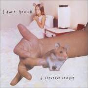 Der musikalische text SNARE, GIRL von SONIC YOUTH ist auch in dem Album vorhanden A thousand leaves (1998)