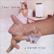 Der musikalische text HITS OF SUNSHINE (FOR ALLEN GINSBERG) von SONIC YOUTH ist auch in dem Album vorhanden A thousand leaves (1998)