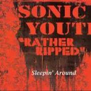 Der musikalische text WHAT A WASTE von SONIC YOUTH ist auch in dem Album vorhanden Rather ripped (2006)