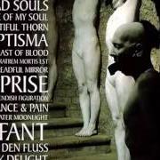 Der musikalische text THE FEAST OF BLOOD von SOPOR AETERNUS ist auch in dem Album vorhanden Es reiten die toten so schnell (2003)