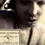 Der musikalische text THE ENCODED CLOISTER von SOPOR AETERNUS ist auch in dem Album vorhanden La chambre d'echo (2004)