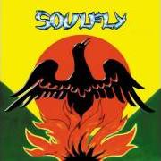 Der musikalische text TREE OF PAIN von SOULFLY ist auch in dem Album vorhanden 3 (2002)