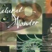 Der musikalische text MS. & MR. LITTLE ONES von STEVIE WONDER ist auch in dem Album vorhanden Natural wonder (1995)