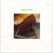 Der musikalische text THE WILD WILD SEA von STING ist auch in dem Album vorhanden The soul cages (1991)