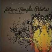 Der musikalische text BLACK HEART von STONE TEMPLE PILOTS ist auch in dem Album vorhanden High rise (2013)