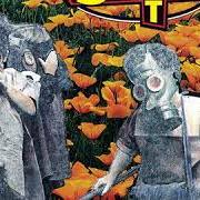 Another day in paradise