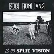 29:29 split vision 29:29 split vision