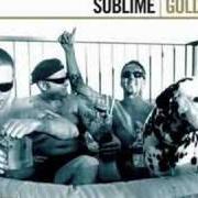 Der musikalische text WHAT I GOT von SUBLIME ist auch in dem Album vorhanden Gold (2005)