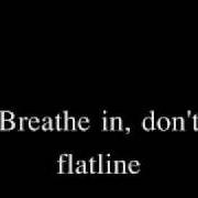 Der musikalische text FLATLINE von APHASIA ist auch in dem Album vorhanden Fact & fiction (2005)