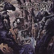 Der musikalische text TO WEEP ONCE MORE von SUFFOCATION ist auch in dem Album vorhanden Souls to deny (2004)