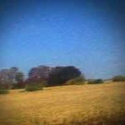 Der musikalische text RICHARD RAMIREZ DIED TODAY OF NATURAL CAUSES von SUN KIL MOON ist auch in dem Album vorhanden Benji (2014)