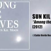 Der musikalische text KING FISH von SUN KIL MOON ist auch in dem Album vorhanden Among the leaves (2012)