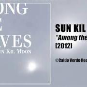 Der musikalische text I KNOW IT'S PATHETIC BUT THAT WAS THE GREATEST NIGHT OF MY LIFE von SUN KIL MOON ist auch in dem Album vorhanden Among the leaves (2012)