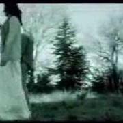 Der musikalische text LA NOTTE DEGLI OSCAR von SURSUMCORDA ist auch in dem Album vorhanden L'albero dei bradipi (2004)