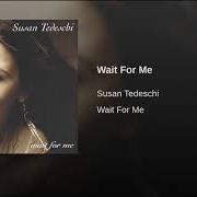 Der musikalische text TIL I FOUND YOU von SUSAN TEDESCHI ist auch in dem Album vorhanden Wait for me (2002)