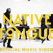 Der musikalische text JOY INVINCIBLE von SWITCHFOOT ist auch in dem Album vorhanden Native tongue (2019)