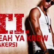 Der musikalische text YEAH YA KNOW (TAKERS) von T.I. ist auch in dem Album vorhanden King uncaged (2010)