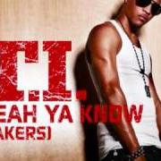 Der musikalische text GOT YOUR BACK von T.I. ist auch in dem Album vorhanden King uncaged (2010)