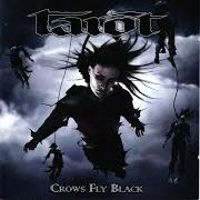Crows fly black