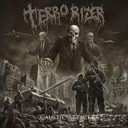 Der musikalische text CONFLICT AND DESPAIR von TERRORIZER ist auch in dem Album vorhanden Caustic attack (2018)