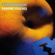 Der musikalische text IN YOUR SHOES von TERRORVISION ist auch in dem Album vorhanden Shaving peaches (1999)