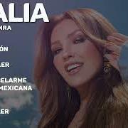 Der musikalische text BEBÉ, PERDÓN von THALIA ist auch in dem Album vorhanden A mucha honra (2024)