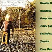 Der musikalische text RAMBLIN' MAN von ALLMAN BROTHERS BAND ist auch in dem Album vorhanden Brothers and sisters (2013)