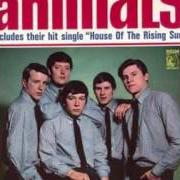 Der musikalische text HEY GYP von THE ANIMALS ist auch in dem Album vorhanden Animalism [usa] (1966)