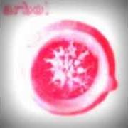 Der musikalische text SEXO von ARBOL ist auch in dem Album vorhanden Arbol (1999)