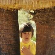 Der musikalische text I'D LOVE JUST ONCE TO SEE YOU von THE BEACH BOYS ist auch in dem Album vorhanden Wild honey (1967)