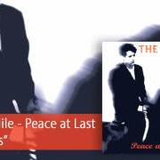 Der musikalische text SENTIMENTAL MAN von THE BLUE NILE ist auch in dem Album vorhanden Peace at last (1996)
